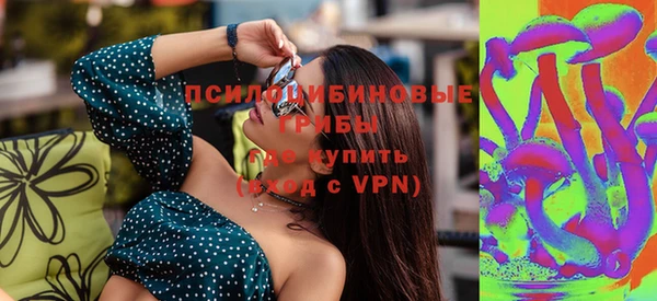 ешки Арсеньев