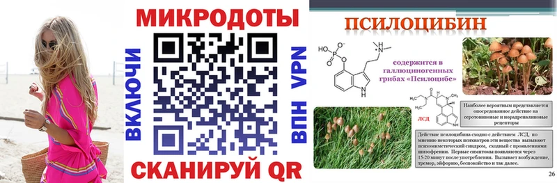 Купить где  Собинка  Галлюциногенные грибы Cubensis 